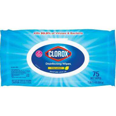 Clorox Crisp Lemon Disinfecting Cleaning Wipes Flexpack (75-Count)